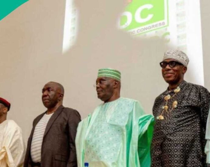 Dalilin Da Yasa Gwamnonin PDP Da APC Ba Su Shiga Jam’iyyar ADC – Bayani Daga ADC
