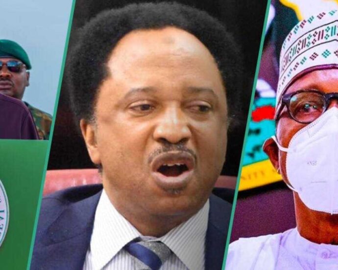 2027: Shehu Sani Ya Tabbatar Cewa Tinubu Zai Ci Zabe Ko Bayan Rasuwar Buhari
