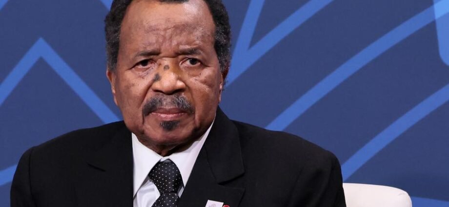 Kamaru Ta Kaddamar da Ranar Zaben Shugaban Kasa na 2025, Ana Jiran Sauyin Siyasa