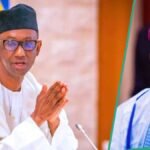 Nuhu Ribadu Ya Bayyana Gudunmawar Tinubu wajen Ceto Najeriya Daga Wargajewa