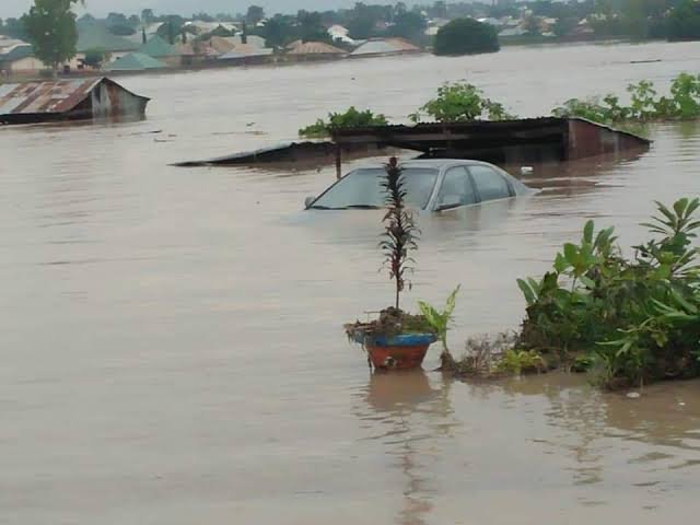 Ambaliyar Ruwa Ta Kashe Mutane Biyar, Ta Jikkata 55 A Yola – NEMA Ta Bayyana