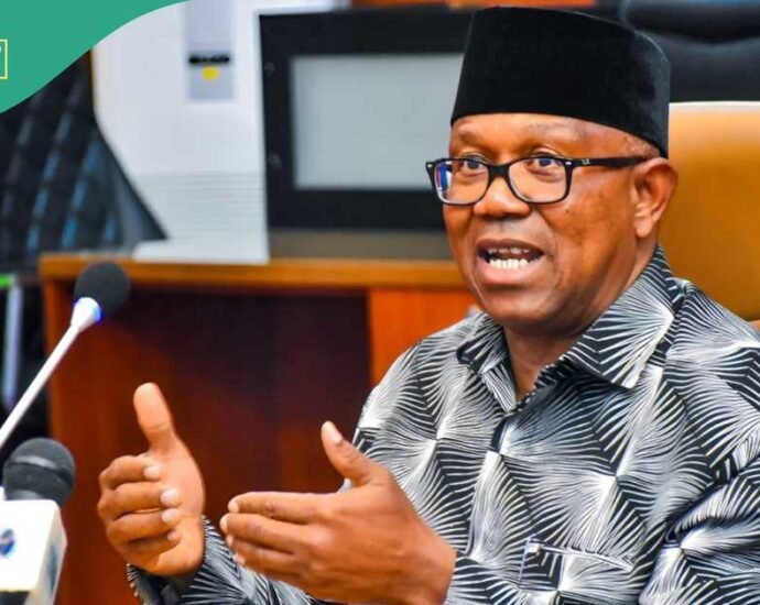 Peter Obi Ya Yi Kira Ga Magoya Bayansa Da Su Zabi ‘Yan ADC A Zaben Kari, Ba Labour Party Ba