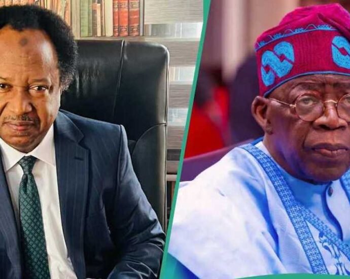 Shehu Sani Ya Kare Tinubu: Ya Zargi Tsofaffin Shugabannin Arewa Da Matsalolin Yankin