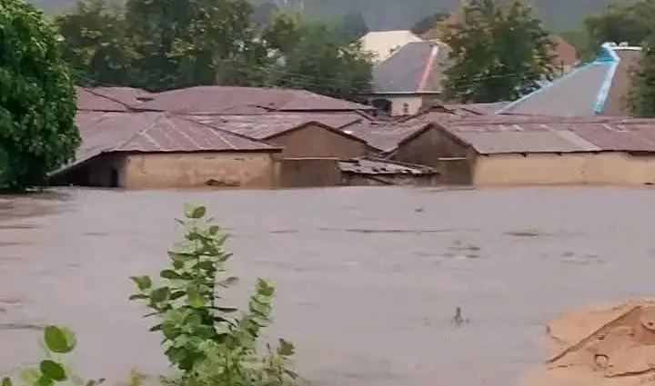 Ambaliyar Ruwa Ta Hong: Daruruwan Mutane Sun Bar Gidaje A Jihar Adamawa