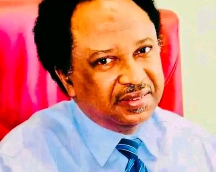 Shehu Sani Ya Yi Kira Da Gwamnati Ta Shigar Da Fulani Cikin Tsarin Yin Manufofin Tsaro
