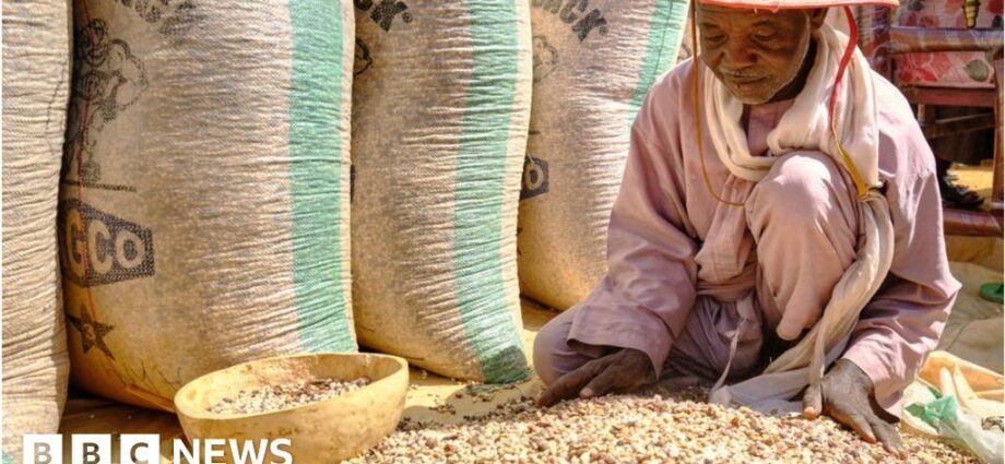 Tinubu Ya Ayyana Gaggawa Kan Tsaro: Yadda Zai Shafi Rayuwar Talakawa a Najeriya