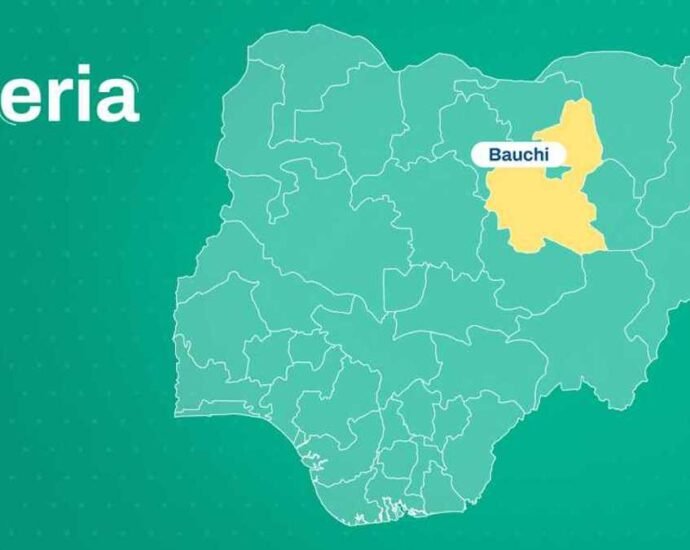 Hukumar DSS Ta Kama Wani Dan Bindiga A Bauchi Da Ya Gudu Daga Rikicin Zamfara