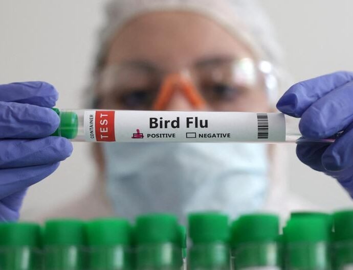 Mutuwar Mazaunin Washington Da H5N5: Wani Sa’o’i Na Tsoro Da Farko A Kasar Amurka