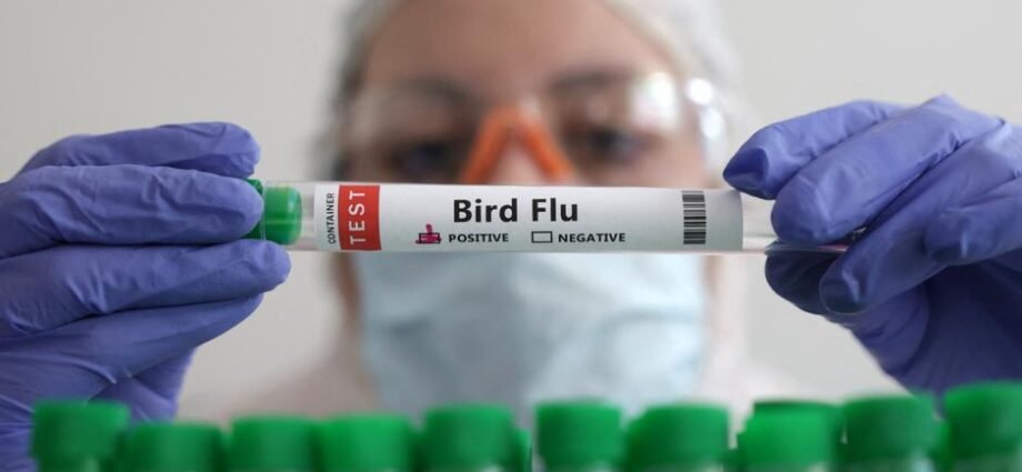 Mutuwar Mazaunin Washington Da H5N5: Wani Sa’o’i Na Tsoro Da Farko A Kasar Amurka