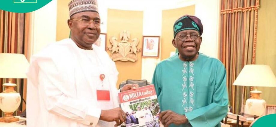 Bayanai Masu Zurfi: Yadda Buba Marwa Ya Yi Tauri Don Kare Zaben Tinubu A Shekarar 1999 Daga Manyan Sojoji