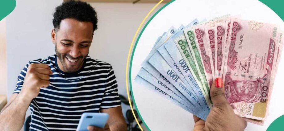 Naira Ta Yi Karuwa A Kasuwa: CBN Ta Sayar Da Dala Miliyan 150, Amma Masana Suke Cikin Tsoro