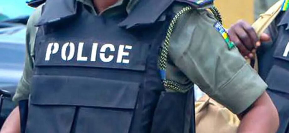 Kama ‘Yan Garkuwa A Adamawa: Fage Da Muhimmancin Ayyukan Tsaro A Kauyuka