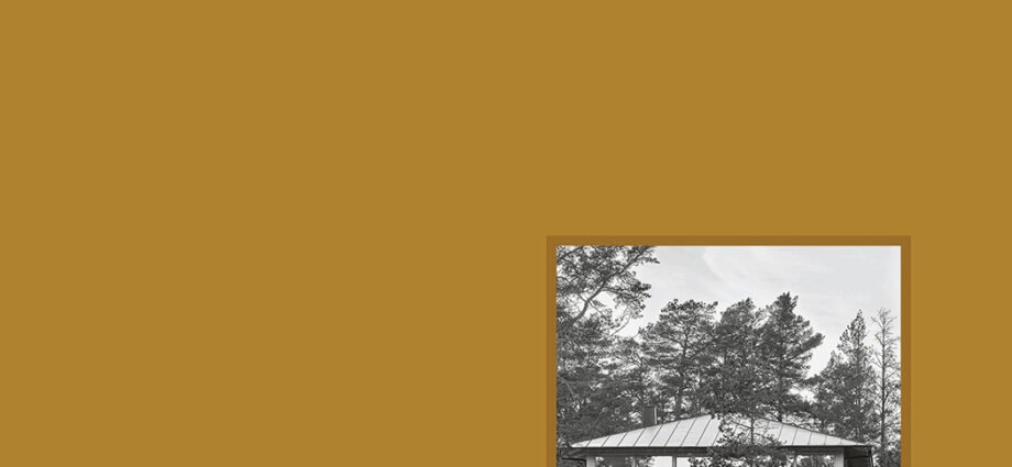 Dokta Olusegun Ahmadu: Yadda Aikin Gina Al’umma Ya Fi Yabo Mafi Muhimmanci Dokta Olusegun Ahmadu: Yadda Aikin Gina Al’umma Ya Fi Yabo Mafi Muhimmanci